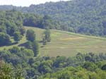 Koscheck Farms