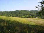 Koscheck Farms